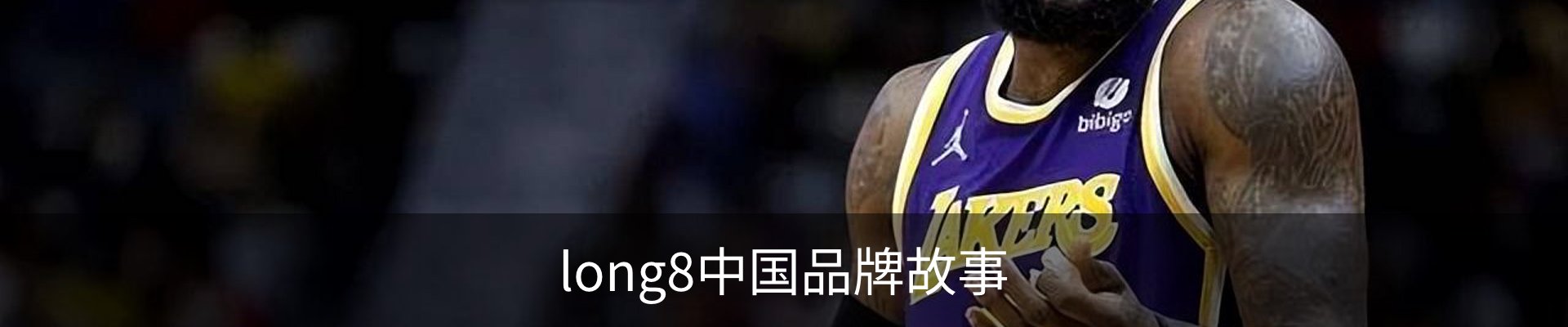 long8中国品牌故事